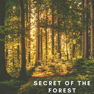 Secret Of The Forest (From "Chrono Trigger")