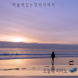 놀고있는 강아지