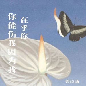 你能伤我因为我在乎你 (DJ阿能版)