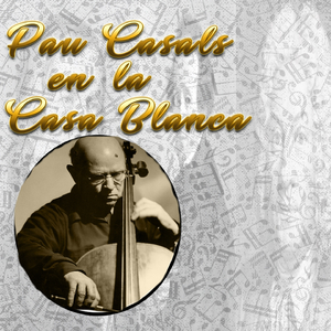 Piano Trio No. 1 in D Minor, Op. 49: I. Molto Allegro agitato