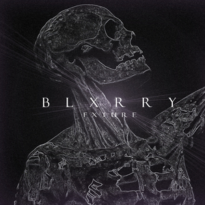 BLXRRY FXTURE