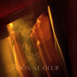 Dön Ne Olur (Ebru Gündeş Cover)