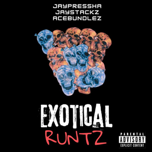 Exotical Runtz
