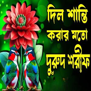 বাংলা দরুদ শরীফ ও জিকির গুলো শুনুন আপনার জীবন পাল্টে যেতে পারে ইনশাআল্লাহ