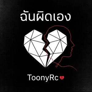 ฉันผิดเอง