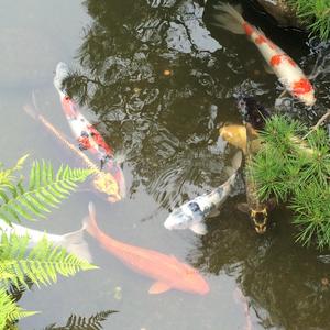 Little Bug Big World