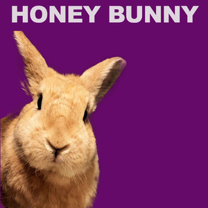 House Rock (Honey Bunny Mix)