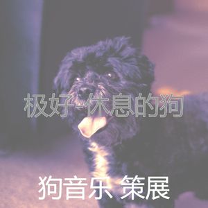 低调(训练你的狗)