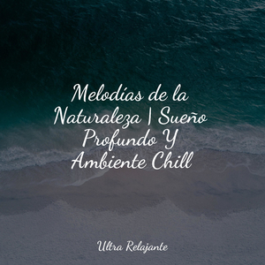 Navegando En La Nube