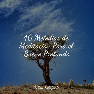 Hojas Revoloteando Hacia Abajo