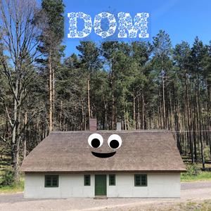 Dom