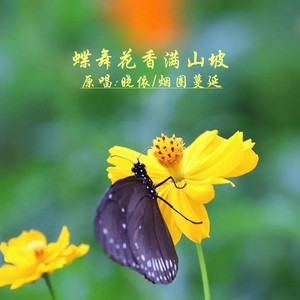 蝶舞花香满山坡DJ (对唱版)