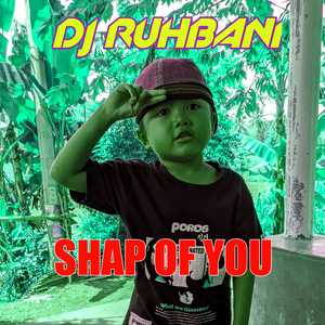 SHAP OF YOU FULLBAS INSTRUMENT