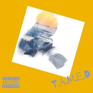 T.Y.B (feat. Xxii)