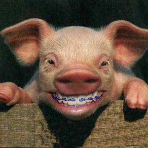 Pig wigged so hard I became hard