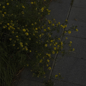 Война и Мир