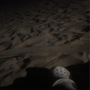 L a T E n I G H T a T T H E E n D O F T H E W O R L D