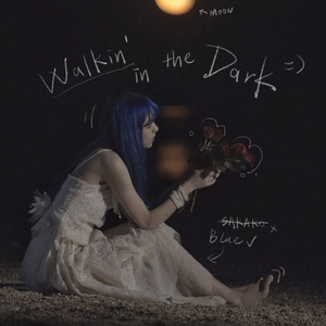 Walkin' in the Dark (黑夜漫步)