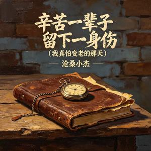 辛苦一辈子 留下一身伤（我真怕变老的那天）