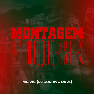 Montagem pra Tu Esquecer Seu Ex