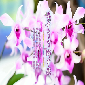 楼台烟雾冷花香 (加长版)