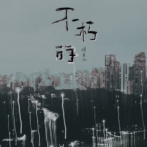 不朽的（DJ弹鼓降速版）