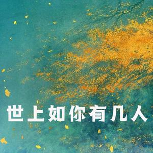 世上如你有几人