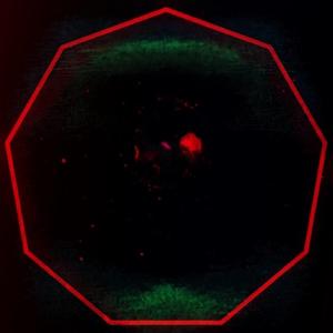 Enneagon