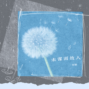 未谋面故人