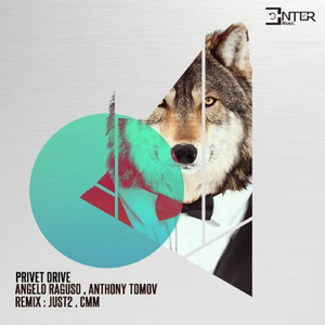 Privet Drive (Original Mix)