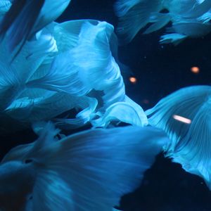 为了申请音乐人不得不发但是还没想好名字并且懒得想的歌