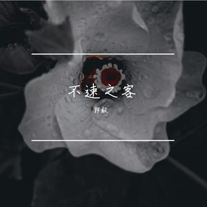 意料之中总是意外