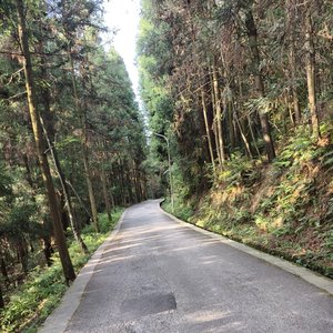 口袋夏天