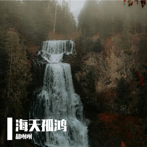 海天孤鸿