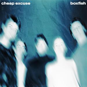 Cheap Excuse