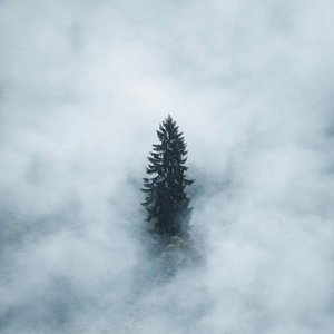 只缘身在此山中