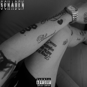 Schaden