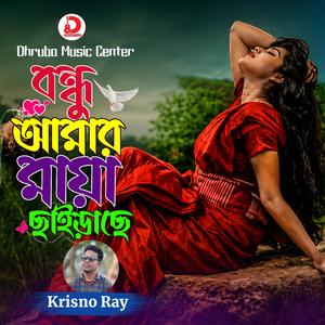 বন্ধু আমার মায়া ছাইড়াছে
