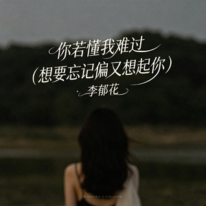 你若懂我难过（想要忘记偏又想起你）