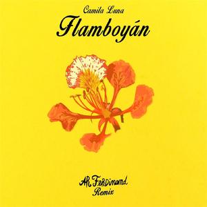 Camila Luna - Flamboyán (AR Ferdinand Remix)