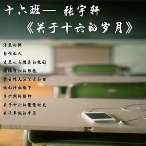 关于十六的岁月