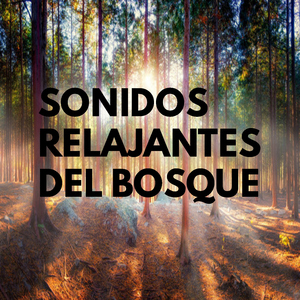 Bosques