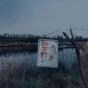 我会像现在这样老去