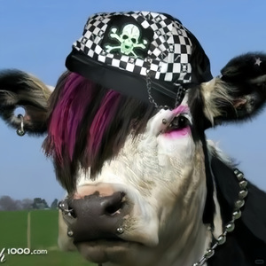 [FREE] “就算垃圾也要摇滚下去 ”摇滚x boombap type beat