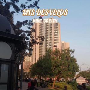 Mis Desvelos