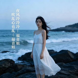 夜风冷冷冷 吹乱心也乱 (烟嗓版)