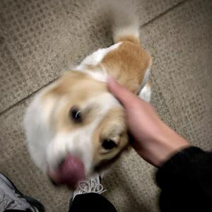 目不转睛看Plain Jane