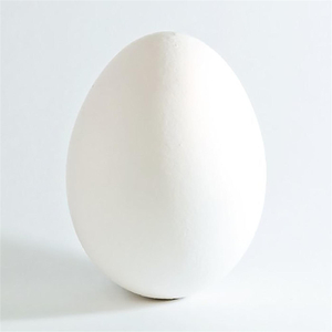 Ägg