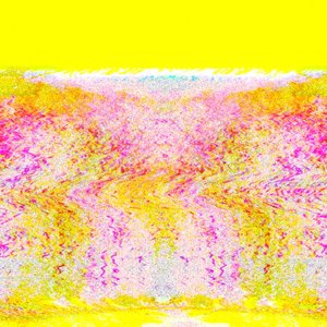 Race for Wayne Coyne