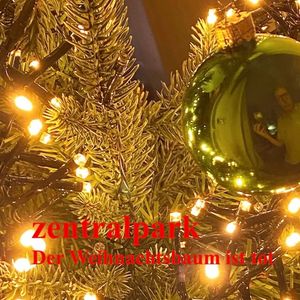 Der Weihnachtsbaum ist tot